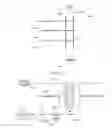 Fig. 01 - Progressive download playback