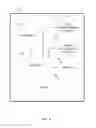 Fig. 04 - Path optimization for adaptive streaming