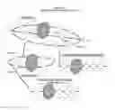 Fig. 04 - Network model for distributed computing architecture