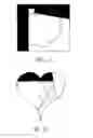 Fig. 09 - Apparatus and method for editing document image