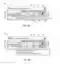 Fig. 07 - Medical Test Result Presentation