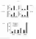 Fig. 06 - Prephenate dehydrogenases and arogenate dehydrogenases that are insensitive to effector feedback inhibition and methods of using the same