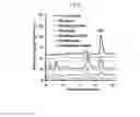 Fig. 08 - Prephenate dehydrogenases and arogenate dehydrogenases that are insensitive to effector feedback inhibition and methods of using the same