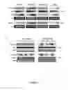 Fig. 06 - PLANTS HAVING ENHANCED YIELD-RELATED TRAITS AND METHOD FOR MAKING THE SAME