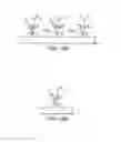 Fig. 09 - PLANT GROWTH SUBSTRATES