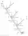 Fig. 02 - Irrigation system with transient state speeds of movement