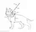 Fig. 01 - Pet leash with adjustable security extension
