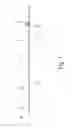 Fig. 02 - Fishing rod