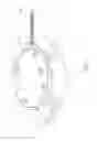 Fig. 02 - Animal trap device