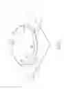 Fig. 09 - Animal trap device