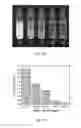 Fig. 06 - Antibacterial surfactant/microgel formulations, methods of making and methods of using the same