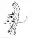 Fig. 01 - Anti-Wrinkle Miracle Devise