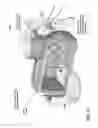 Fig. 22 - Pancake maker apparatus, methods and systems