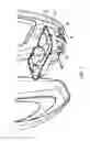 Fig. 04 - VACUUM CLEANER OUTER SHELL FRAGRANCE DISPENSER ASSEMBLY