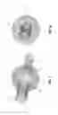 Fig. 08 - Method and apparatus for manipulating the side wall of a body lumen or body cavity so as to provide increased visualization of the same and/or increased access to the same, and/or for stabilizing instruments relative to the same
