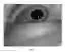 Fig. 09 - System and method for evaluating ocular health