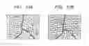 Fig. 09 - Ophthalmologic apparatus and method of controlling the same