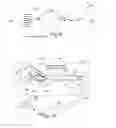 Fig. 08 - Methods And Systems For Intraoperative Tumor Margin Assessment In Surgical Cavities And Resected Tissue Specimens