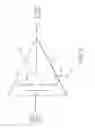 Fig. 56 - Computerized apparatus with ingestible probe