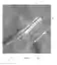 Fig. 08 - INTRAVASCULAR ELECTRODES AND ANCHORING DEVICES FOR TRANSVASCULAR STIMULATION