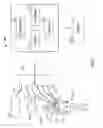 Fig. 02 - Systems and methods for tracking and analysis of electrical-physiological interference