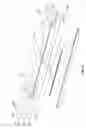Fig. 09 - Multiple member interconnect for surgical instrument and absorbable screw fastener