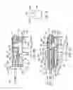 Fig. 04 - TISSUE REMOVAL DEVICE WITH TISSUE GRIP