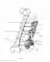 Fig. 02 - Orthopaedic device for correcting deformities of long bones