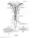 Fig. 07 - Systems and methods for endometrial ablation