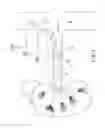 Fig. 02 - Bipolar off-wall electrode device for renal nerve ablation