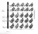 Fig. 06 - PERSONALIZED COMPUTATIONAL MODELING OF ATRIAL FIBROSIS TO GUIDE CATHETER ABLATION OF ATRIAL FIBRILLATION