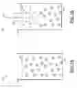 Fig. 02 - Pressure Wave Root Canal Cleaning System