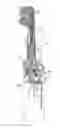 Fig. 01 - TOOTHBRUSH HANDLE PART OF AN ELECTRIC TOOTHBRUSH