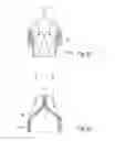 Fig. 08 - UROLOGICAL DEVICE
