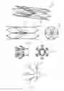 Fig. 16 - VASCULAR FILTER DEVICE