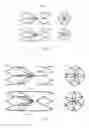 Fig. 26 - VASCULAR FILTER DEVICE