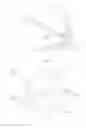 Fig. 65 - VASCULAR FILTER DEVICE