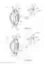 Fig. 07 - ACCOMMODATING INTRAOCULAR LENS ASSEMBLIES AND ACCOMMODATION MEASUREMENT IMPLANT