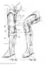 Fig. 07 - LOCKABLE HINGE
