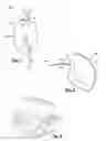 Fig. 02 - Bubble-free microfluidic valve systems and methods