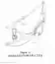 Fig. 16 - Wheelchairs and wheeled vehicles