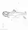 Fig. 20 - Sex Toy