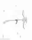 Fig. 22 - Sex Toy