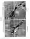 Fig. 06 - Delivery of therapeutic compounds to the brain and other tissues