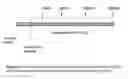 Fig. 16 - Method and composition of glycosaminoglycans in sickle cell and vascular disorders