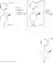 Fig. 22 - COMPOSITIONS CONTAINING OPIOID ANTAGONISTS
