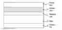 Fig. 01 - MULTI-LAYERED TRANSDERMAL SYSTEM WITH TRIAZINE UV ABSORBER