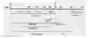 Fig. 02 - Dronedarone for use in Leishmaniasis, Formulations and Associations for Use in Leishmaniasis