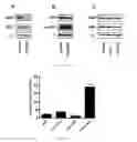 Fig. 05 - Methods and compositions for treating cancer
