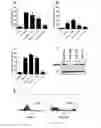 Fig. 06 - Methods and compositions for treating cancer